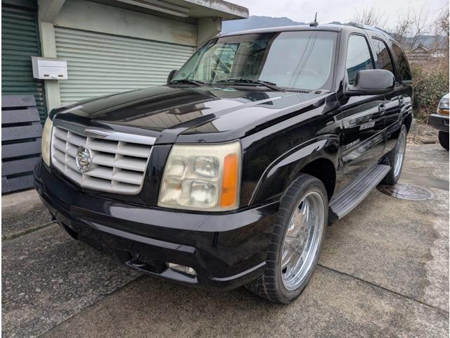 �A�����J&nbsp;�L���f���b�N �G�X�J���[�h 6�D0 4WD ���s44120�}�C���ʐ^1����