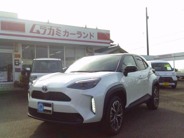 �g���^&nbsp;�����X�N���X 1�D5 �n�C�u���b�h Z �p�m���~�b�N�r���[���f�B�X�v���C�I�[�f�B�ʐ^1����