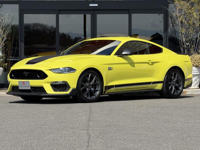 �A�����J&nbsp;�t�H�[�h �}�X�^���O Mach1�ʐ^1����