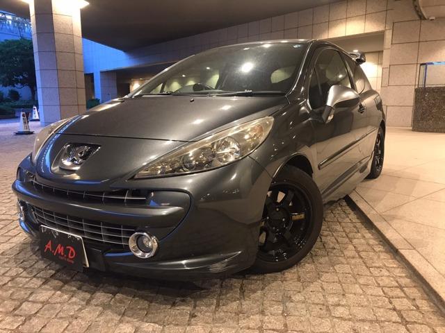 tX vW[ QOV GTiʐ^1