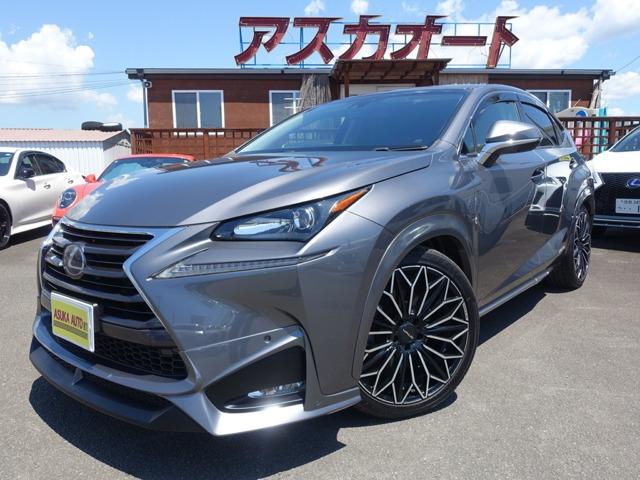レクサス レクサスNX 300h WALDエアロ20AW 車高調 衝突軽減写真1枚目 レクサス レクサスNX 300h WALDエアロ20AW 車高調 衝突軽減写真1枚目