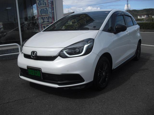 �z���_&nbsp;�t�B�b�g 1�D5 �z�[�� �u���b�N�X�^�C���ʐ^1����