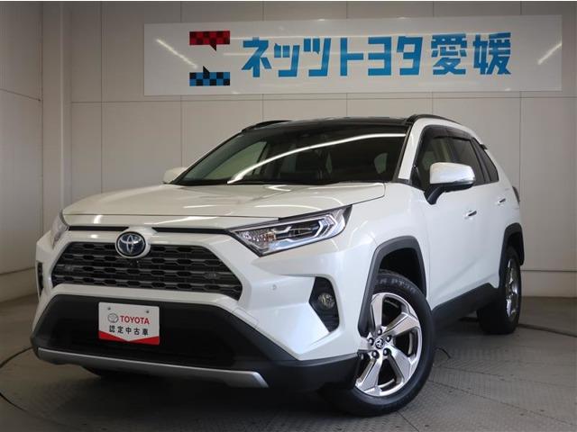 RAV4 ネッツトヨタ愛媛 問屋町（愛媛県松山市）｜エムジェー