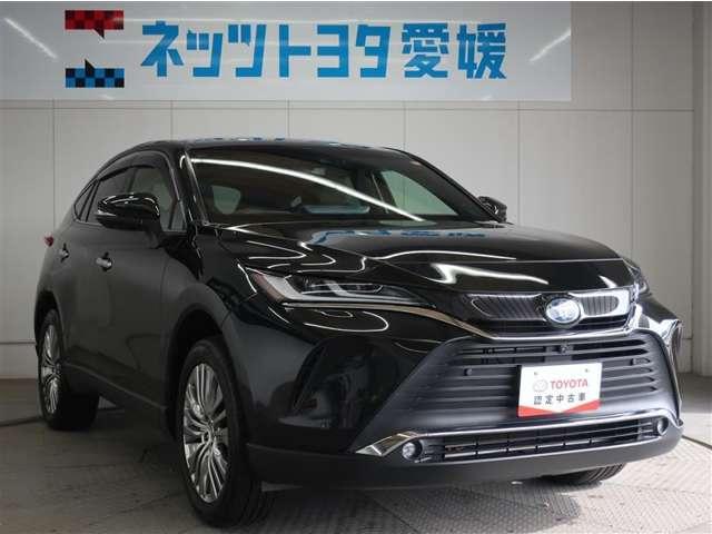 ハリアー（愛媛県新居浜市）