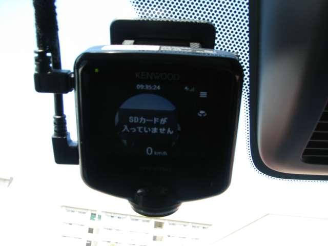 サクラ（愛媛県松山市）画像14
