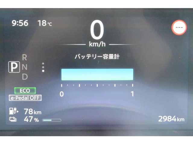 サクラ（愛媛県今治市）画像11