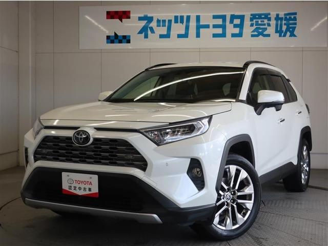 RAV4 ネッツトヨタ愛媛 小松（愛媛県西条市）｜エムジェー