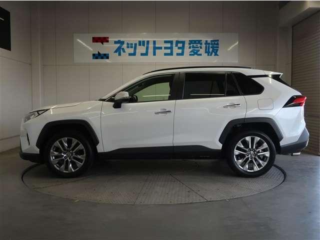 RAV4(愛媛県宇和島市)
