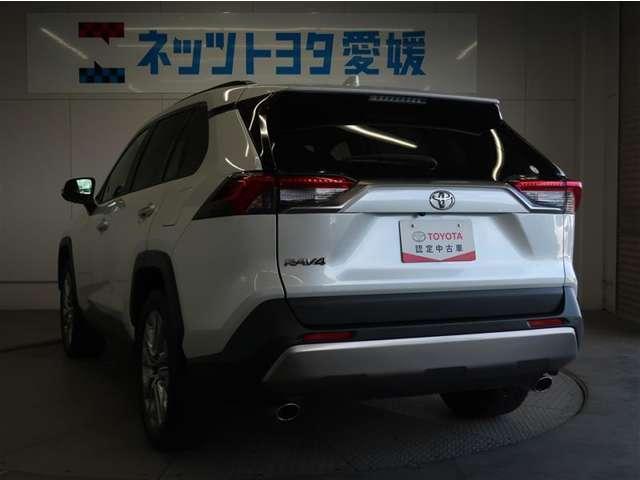RAV4(愛媛県宇和島市)