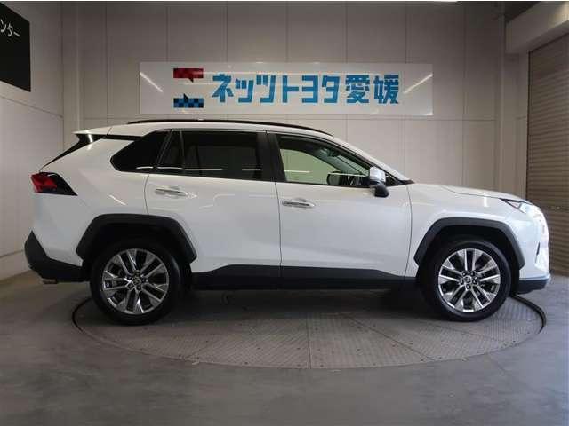 RAV4(愛媛県宇和島市)