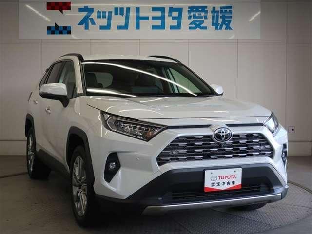 RAV4(愛媛県宇和島市)