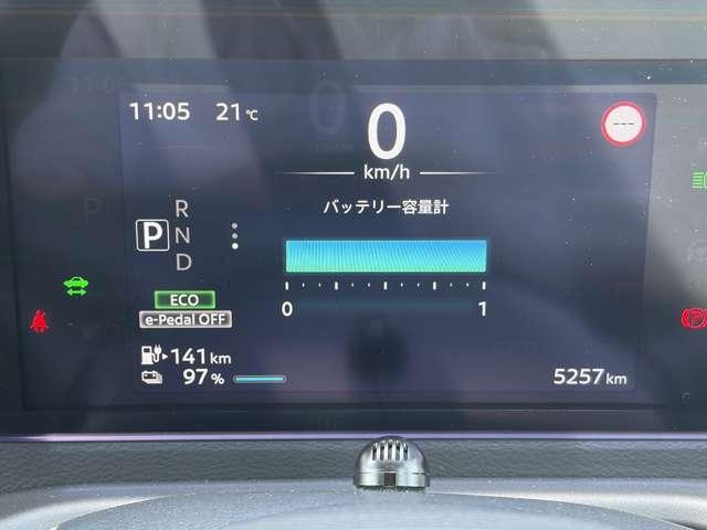 サクラ（愛媛県大洲市）画像13