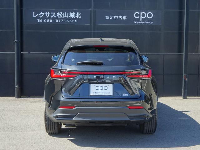 レクサスNX（愛媛県松山市）