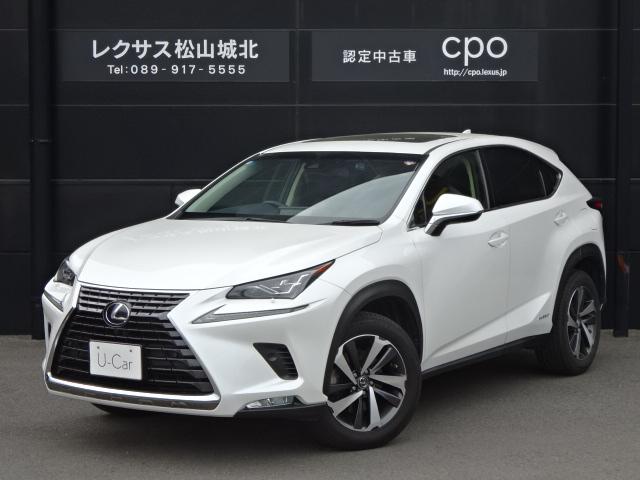レクサスNX（愛媛県松山市）
