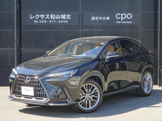 レクサスNX（愛媛県松山市）