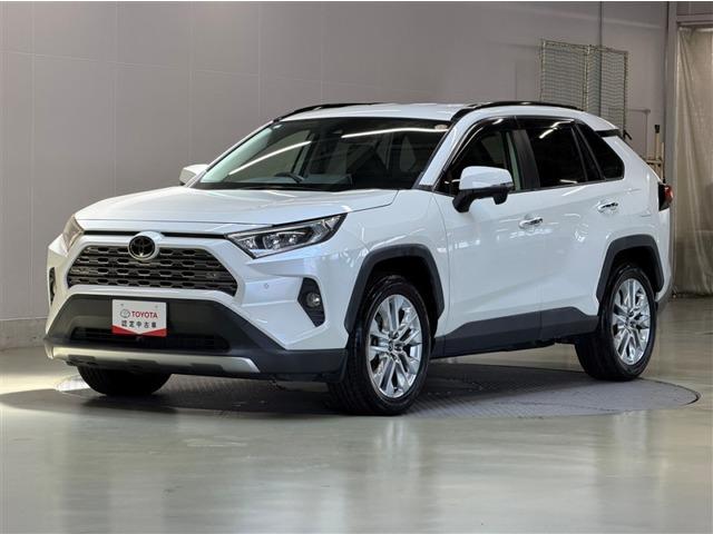 RAV4 トヨタカローラ愛媛(株) 三島・川之江店（愛媛県四国中央市）｜エムジェー