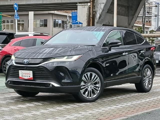 ハリアー（愛媛県松山市）