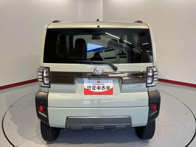 タフト（愛媛県松山市）画像7