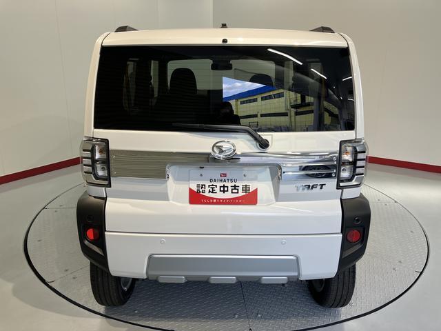 タフト（愛媛県松山市）画像7