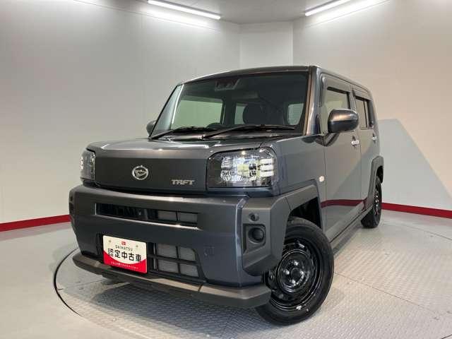 タフト（愛媛県伊予郡松前町）画像20