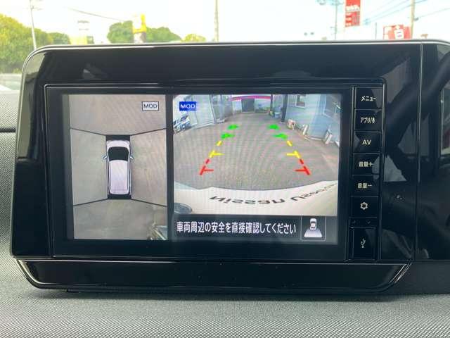 サクラ（愛媛県松山市）画像15