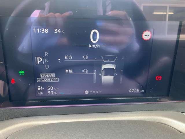 サクラ（愛媛県松山市）画像17