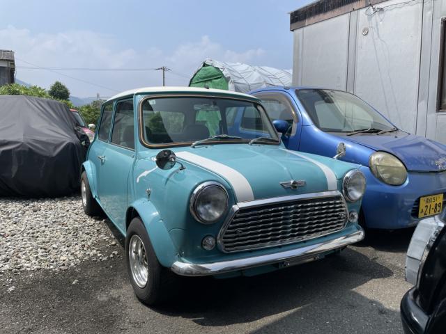 ローバー MINI（愛媛県宇和島市）