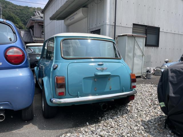ローバー MINI（愛媛県宇和島市）画像2