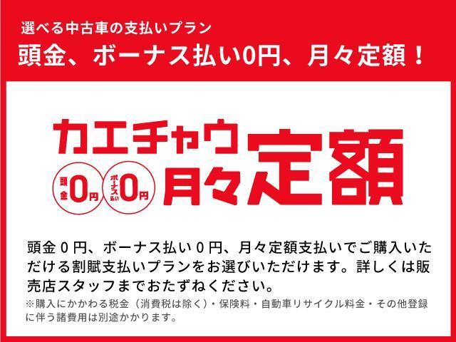 タフト（愛媛県松山市）画像40