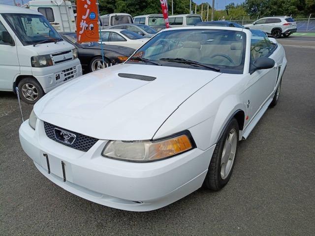 フォード マスタング（愛媛県四国中央市）