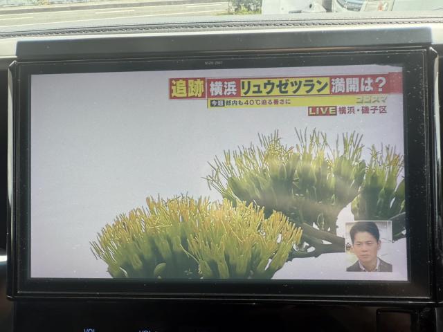 ヴェルファイア（愛媛県松山市）画像30