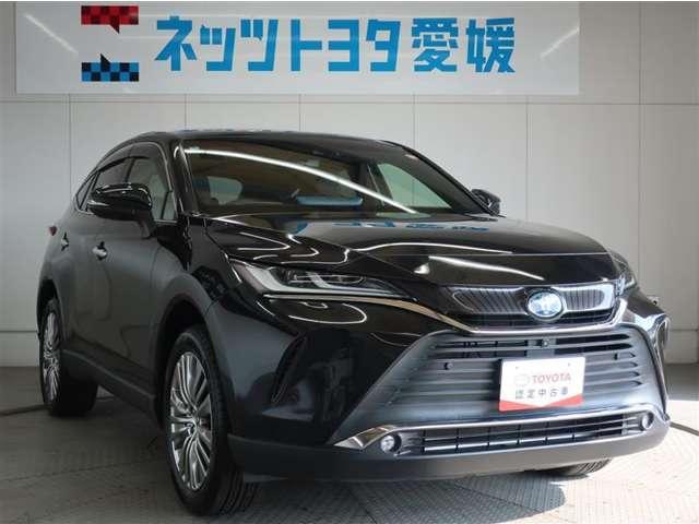 ハリアー（愛媛県松山市）画像7
