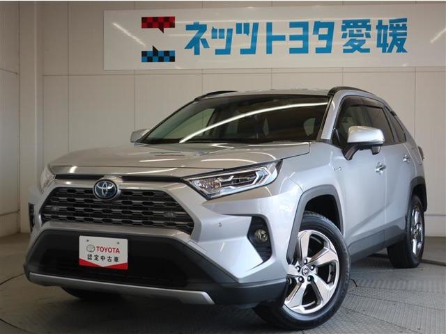 RAV4 ネッツトヨタ愛媛 だんだんPARK（愛媛県松山市）｜エムジェー