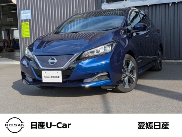 リーフ 愛媛日産自動車(株) カータウン西条（愛媛県西条市）｜エムジェー