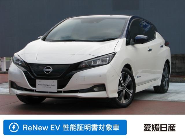 リーフ 愛媛日産自動車(株) カータウン西条（愛媛県西条市）｜エムジェー