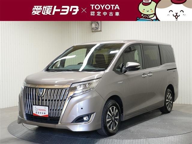エスクァイア 愛媛トヨタ 本店（愛媛県松山市）｜エムジェー