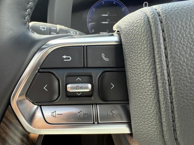 ランドクルーザー（愛媛県東温市）画像22