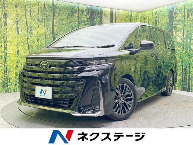 ヴェルファイア（愛媛県松山市）