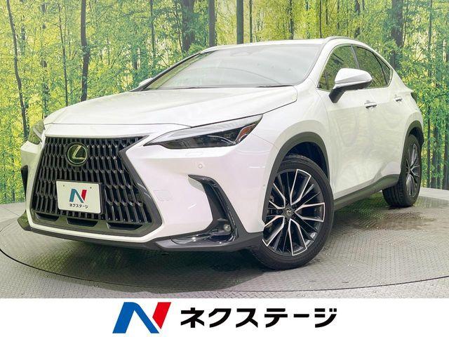 レクサスNX（愛媛県松山市）
