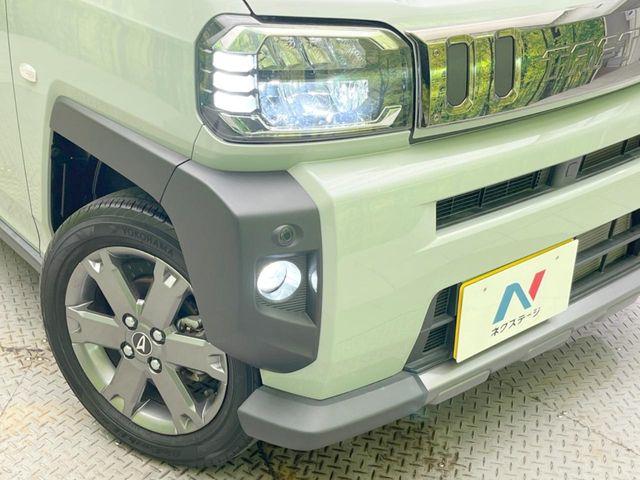 タフト（愛媛県松山市）画像11