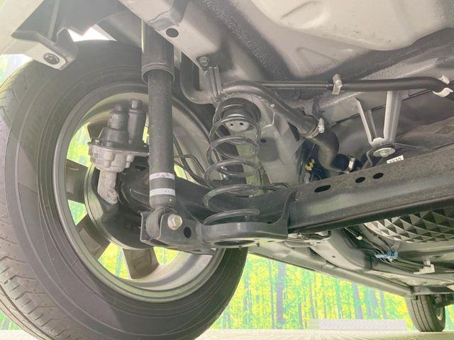 タフト（愛媛県松山市）画像19