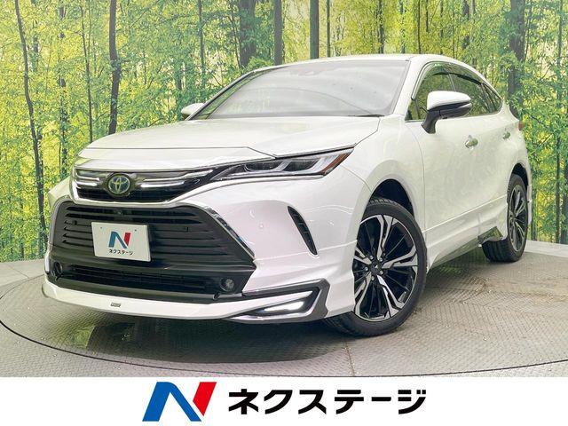 ハリアー ネクステージ 松山中央店（愛媛県松山市）｜エムジェー