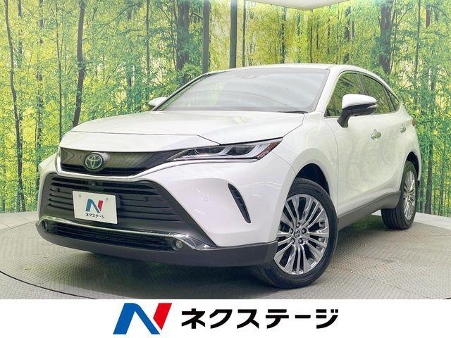 ハリアー ネクステージ 松山中央店（愛媛県松山市）｜エムジェー