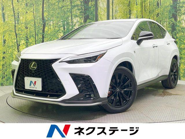 レクサスNX（愛媛県松山市）