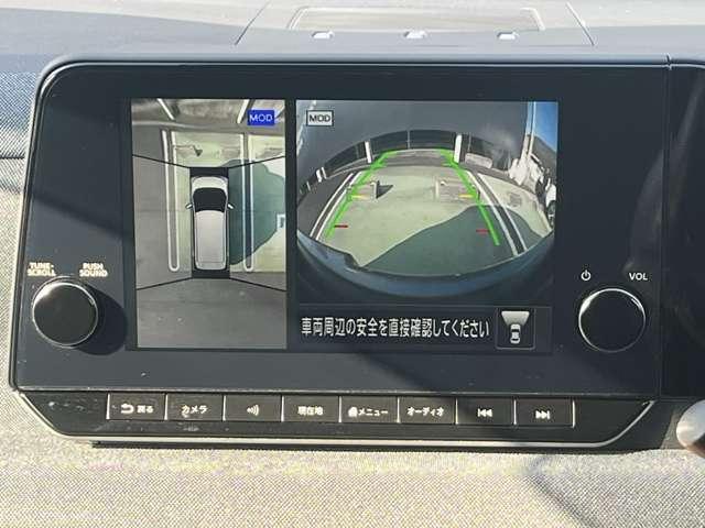 サクラ（愛媛県新居浜市）画像10