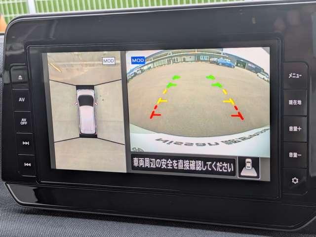 サクラ（愛媛県新居浜市）画像3