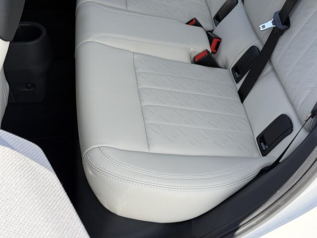 MINI（愛媛県今治市）