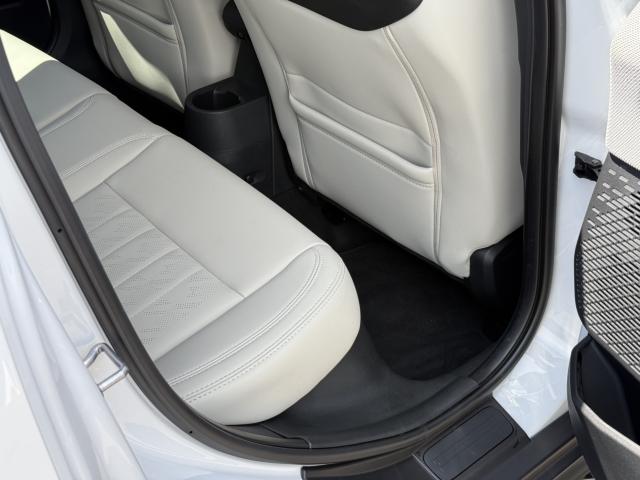 MINI（愛媛県今治市）