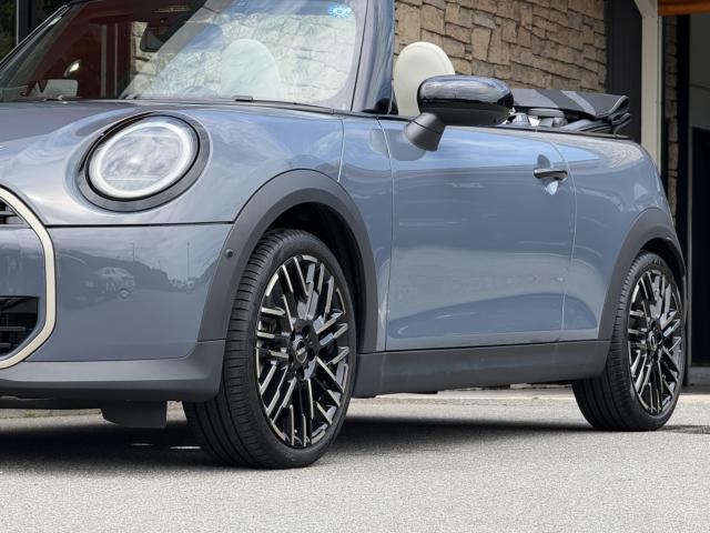 MINI（愛媛県今治市）
