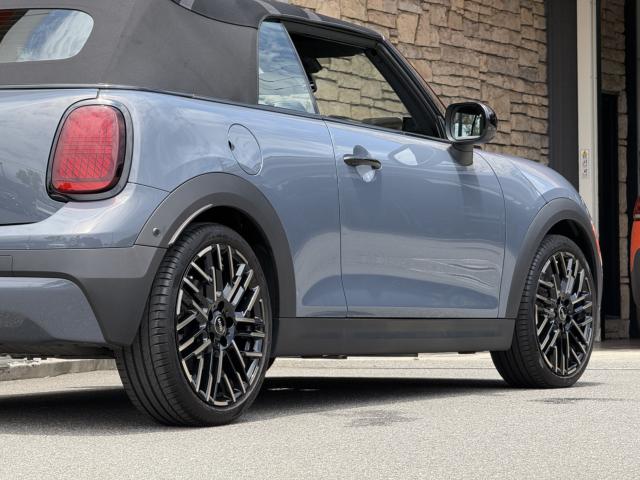MINI（愛媛県今治市）